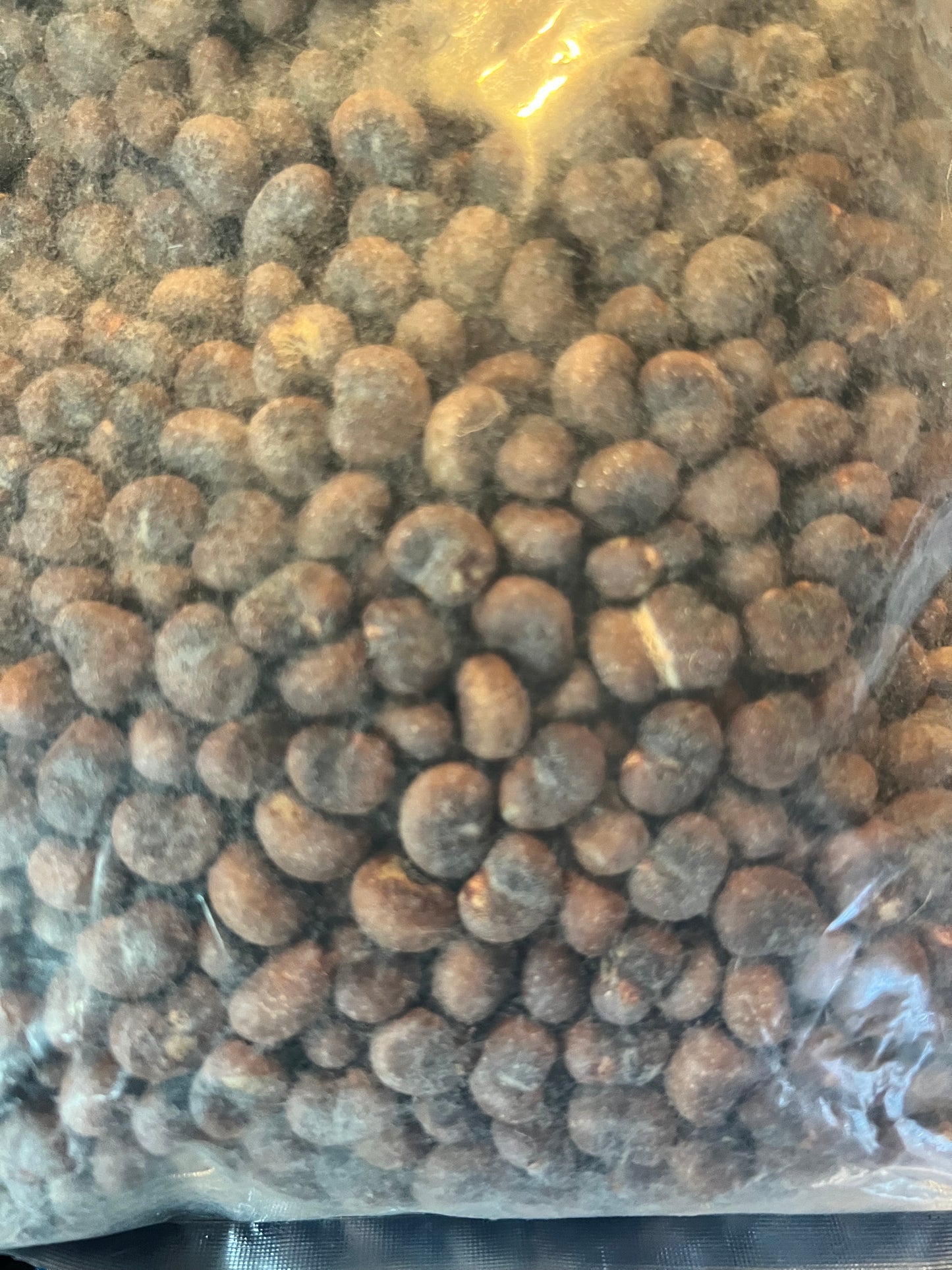 Bao Bab seed