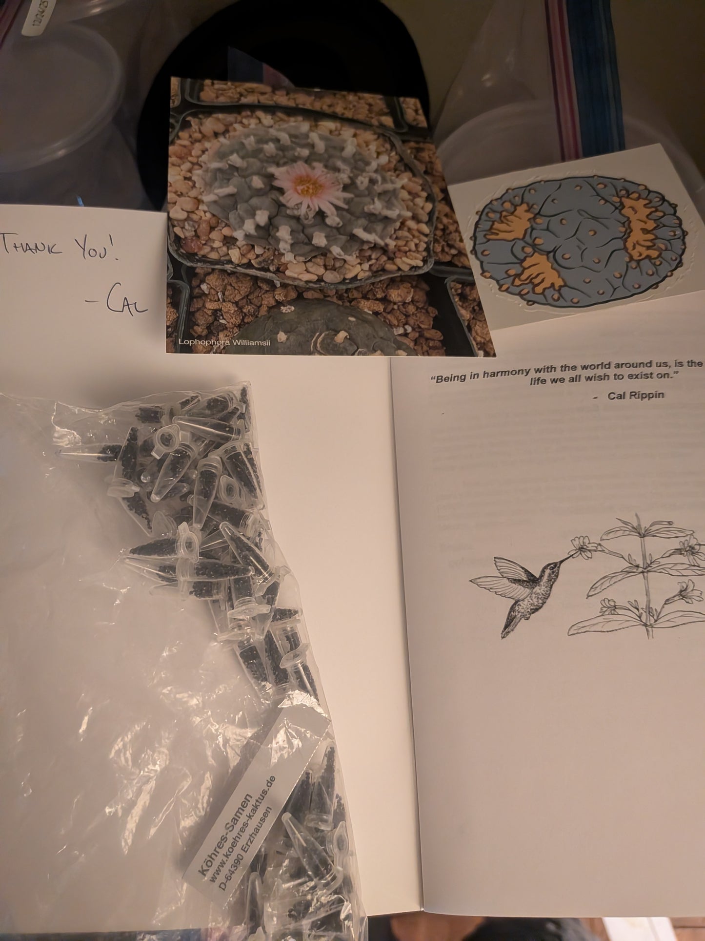 Loph Care Guide and or seeds