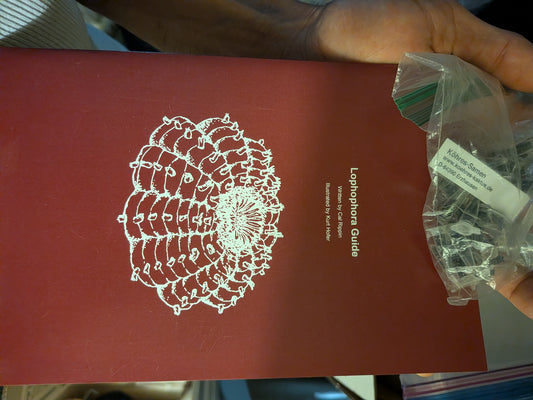 Loph Care Guide and or seeds