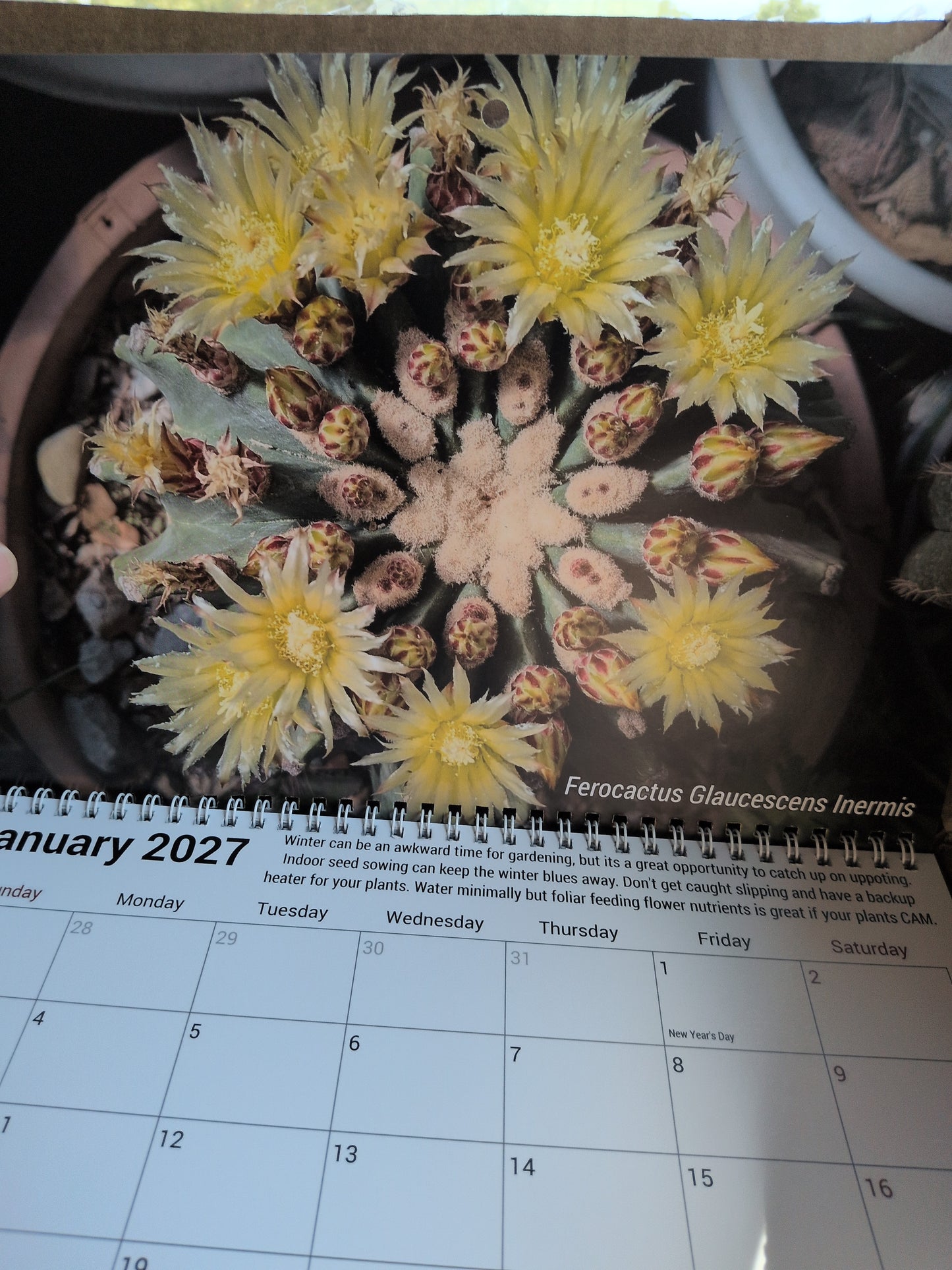 Legacy Cactus Calendar 2027