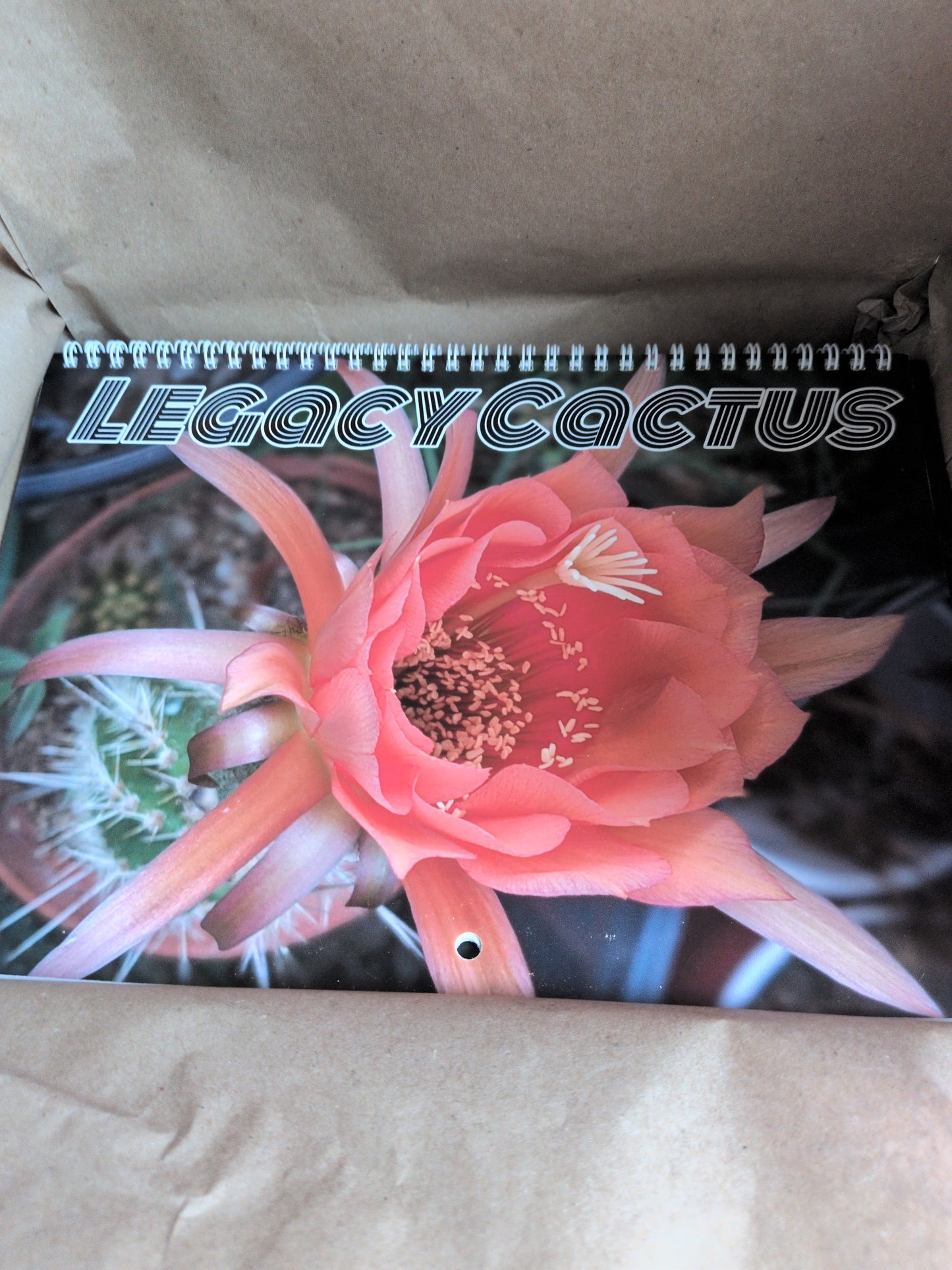 Legacy Cactus Calendar 2027
